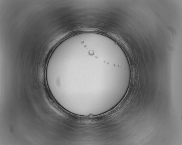 X0000110890533200906181008