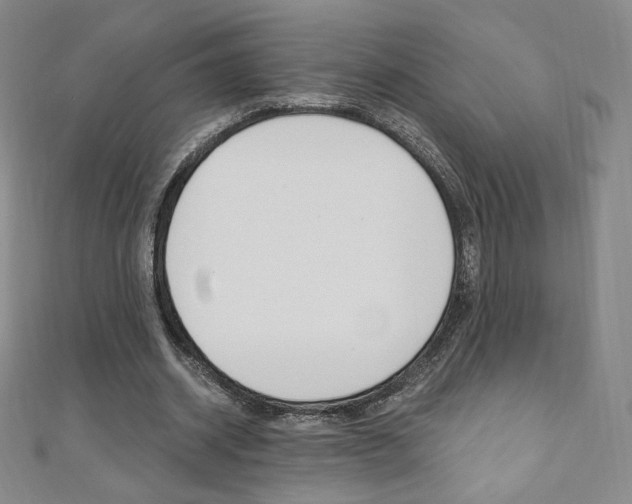 X0000110890534200906181008