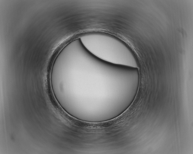 X0000110890535200906181008