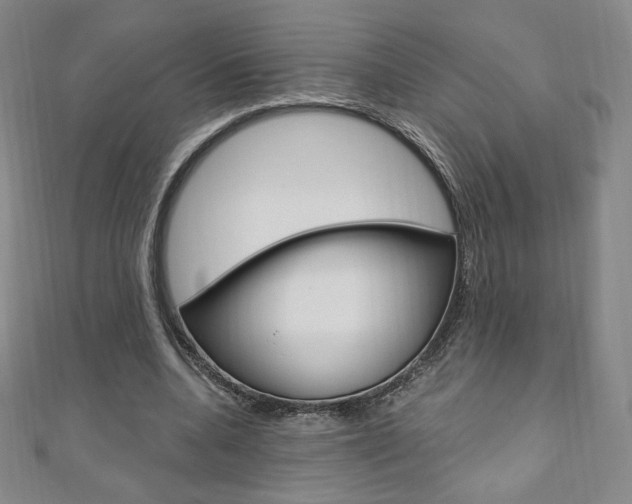 X0000110890536200906181008