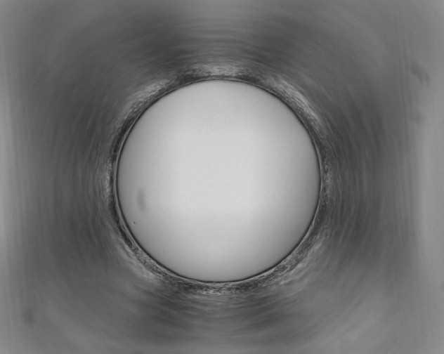 X0000110890537200906181008