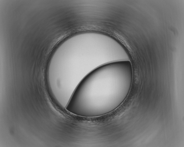 X0000110890538200906181008