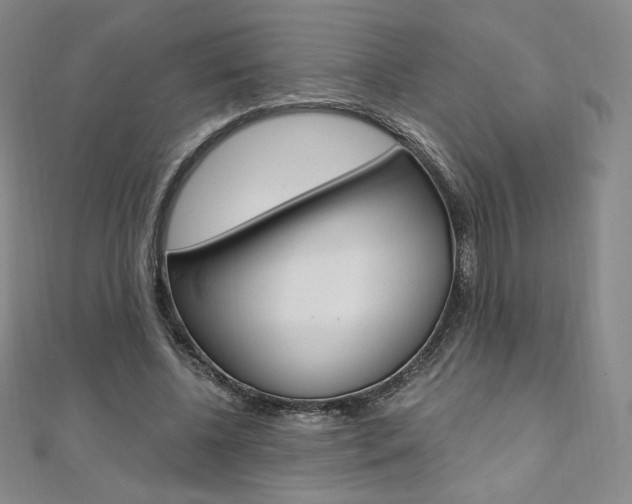X0000110890540200906181008