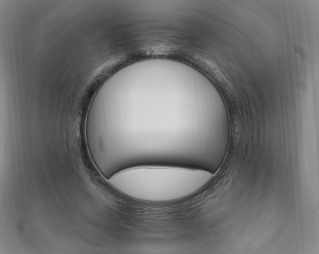 X0000110890543200906181008