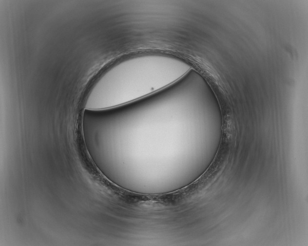 X0000110890544200906181008