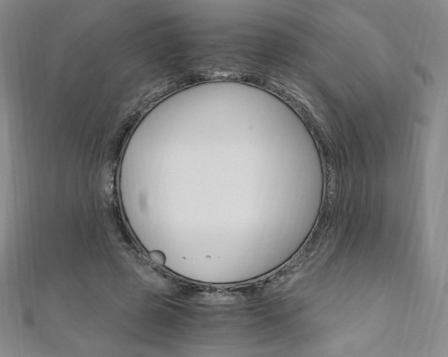 X0000110890545200906181008