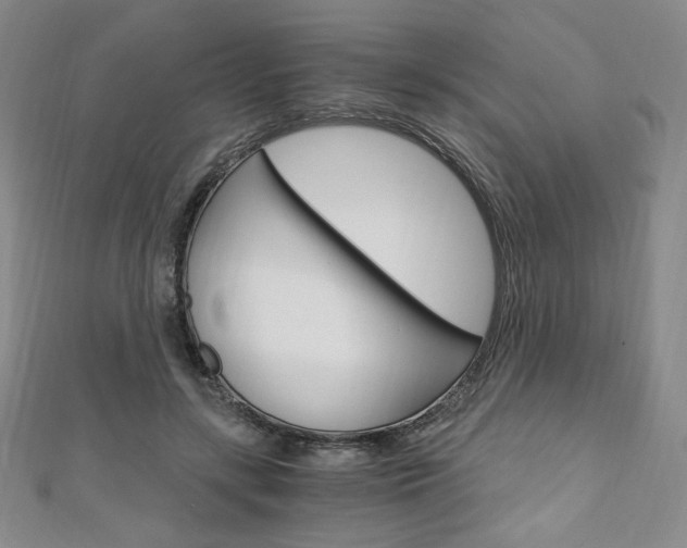 X0000110890547200906181008