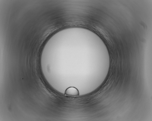 X0000110890548200906181008