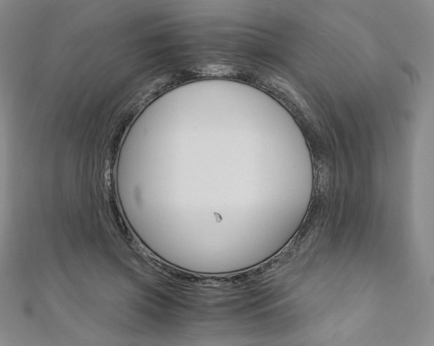 X0000110890549200906181008
