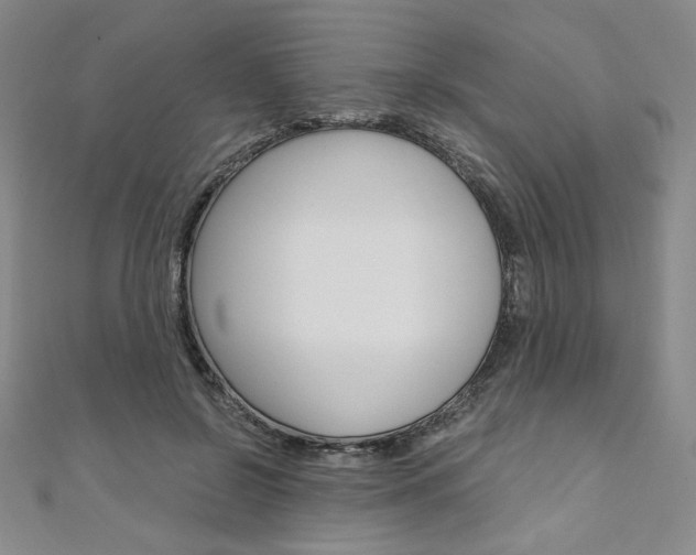 X0000110890550200906181008