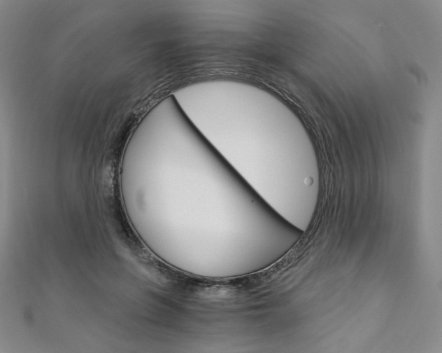 X0000110890551200906181008