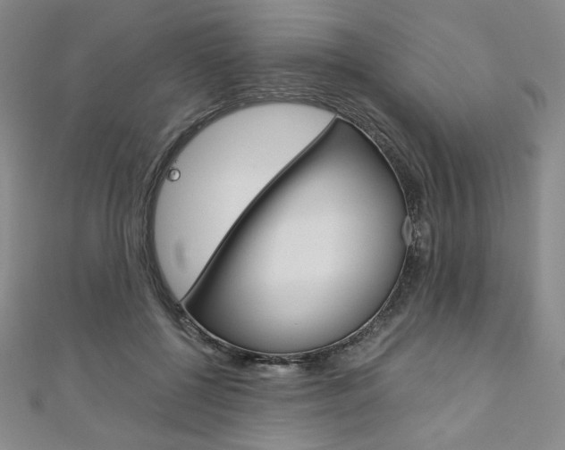 X0000110890552200906181008