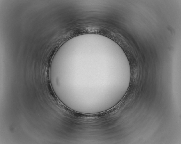 X0000110890553200906181008