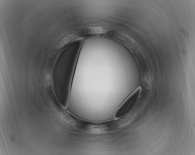 X0000110890556200906181008