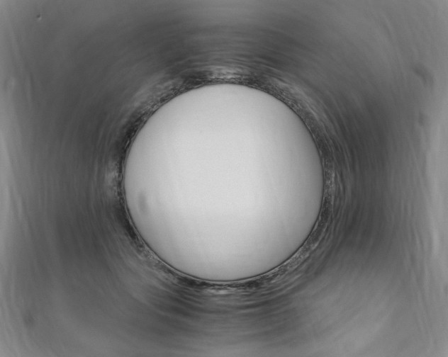 X0000110890557200906181008