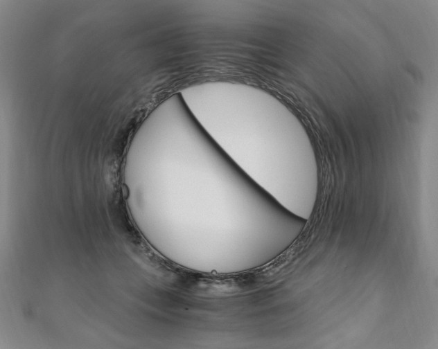 X0000110890559200906181008