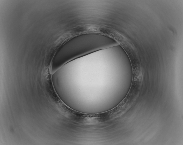 X0000110890560200906181008