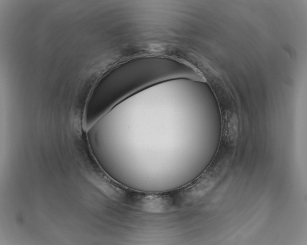 X0000110890562200906181008