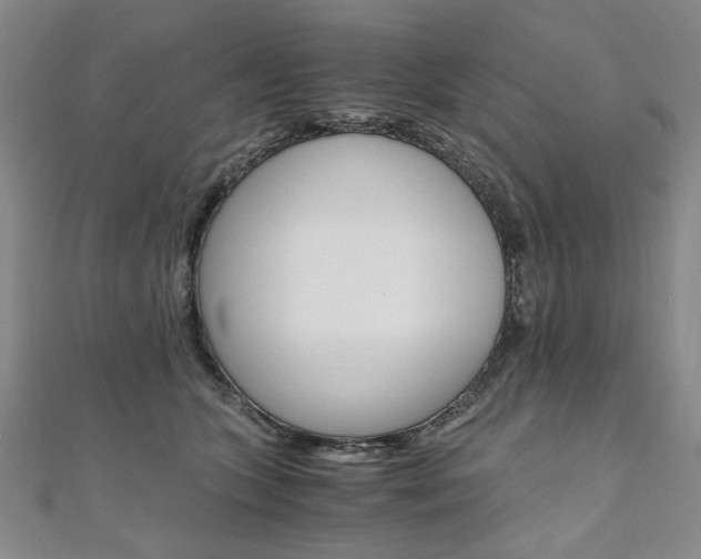 X0000110890563200906181008