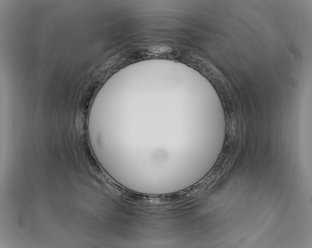 X0000110890565200906181008