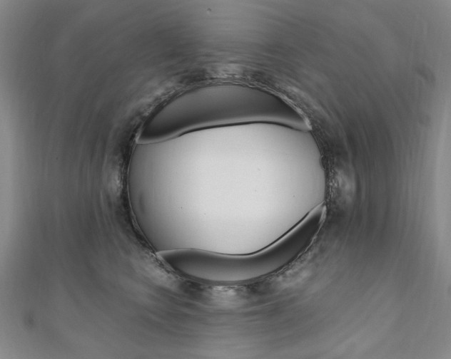 X0000110890566200906181008