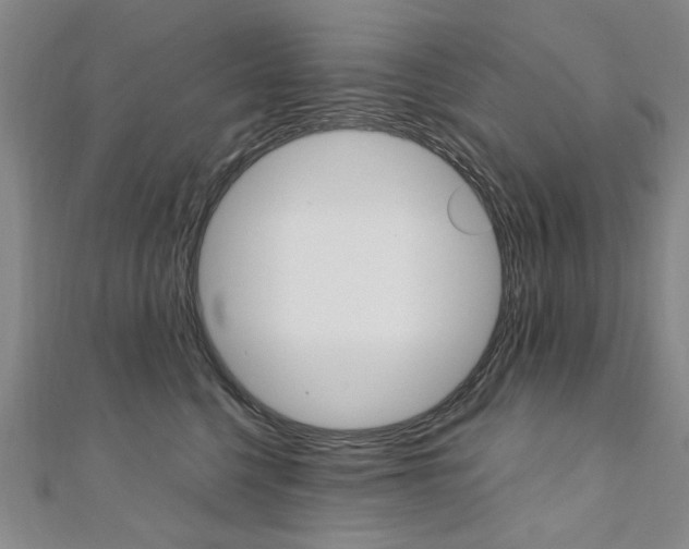 X0000110890568200906181008