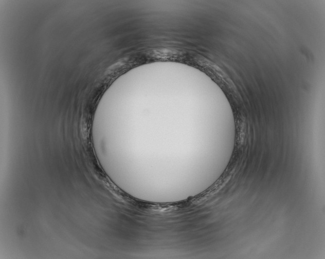X0000110890569200906181008