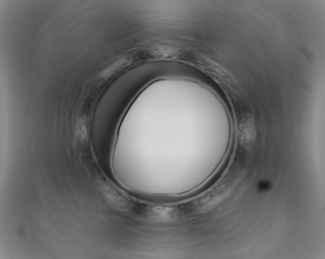 X0000110890570200906181008