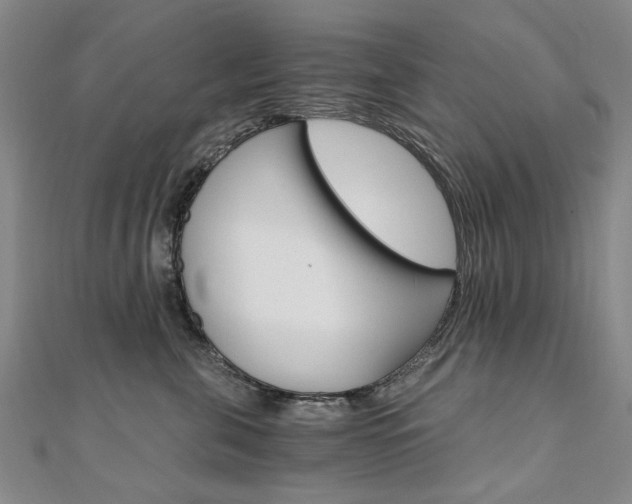 X0000110890571200906181008