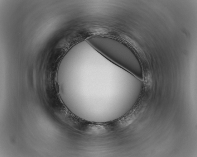 X0000110890572200906181008