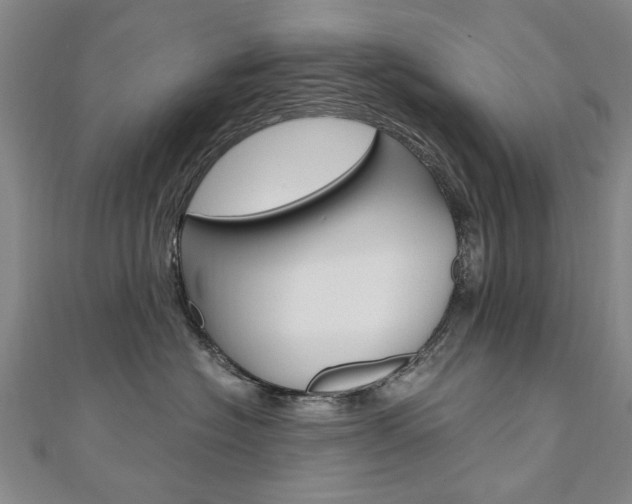 X0000110890574200906181008