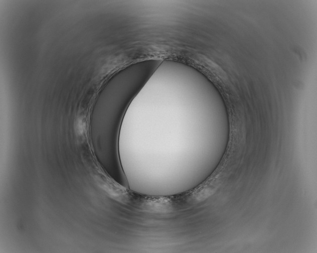 X0000110890576200906181008
