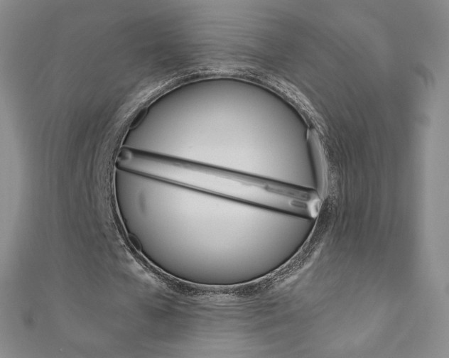 X0000110890577200906181008