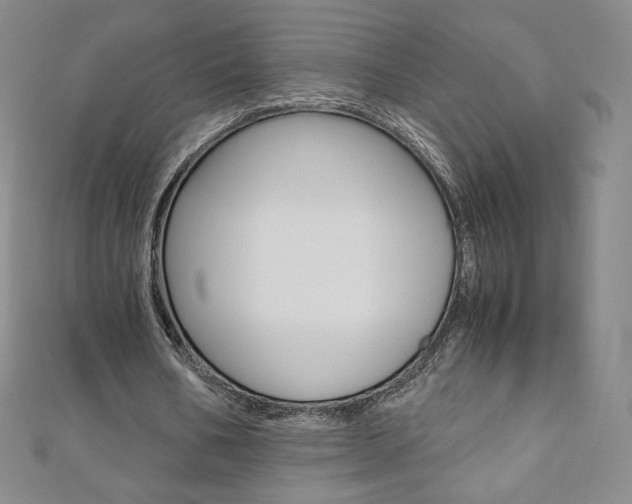 X0000110890578200906181008