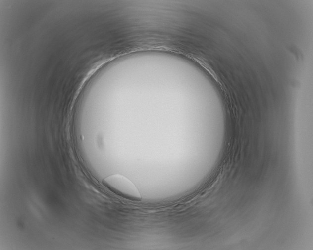 X0000110890579200906181008