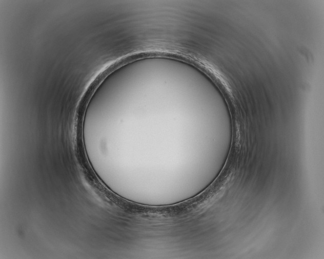 X0000110890580200906181008