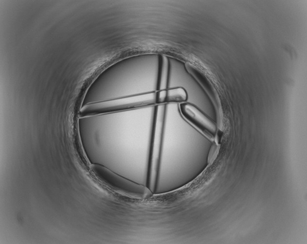 X0000110890581200906181008