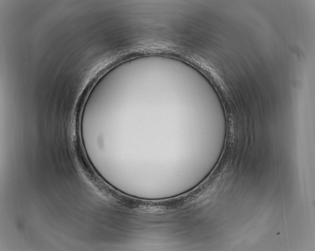 X0000110890582200906181008
