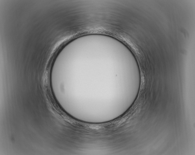 X0000110890583200906181008