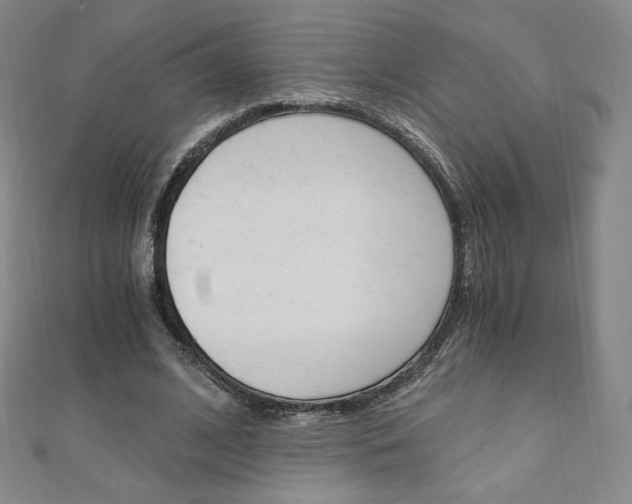 X0000110890584200906181008