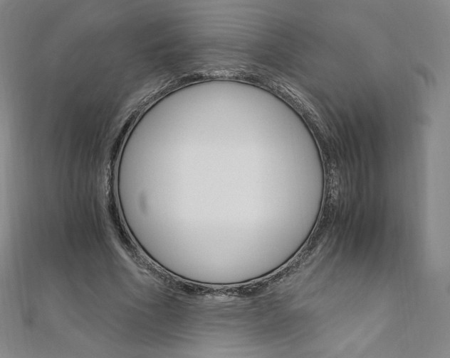 X0000110890586200906181008