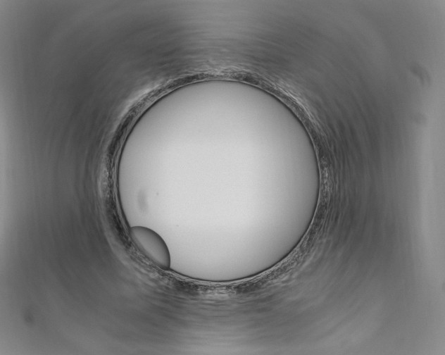X0000110890587200906181008
