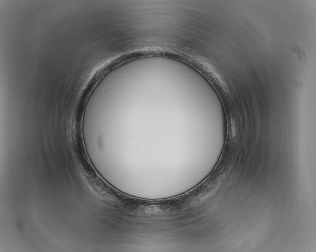 X0000110890588200906181008