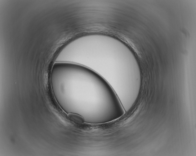 X0000110890589200906181008