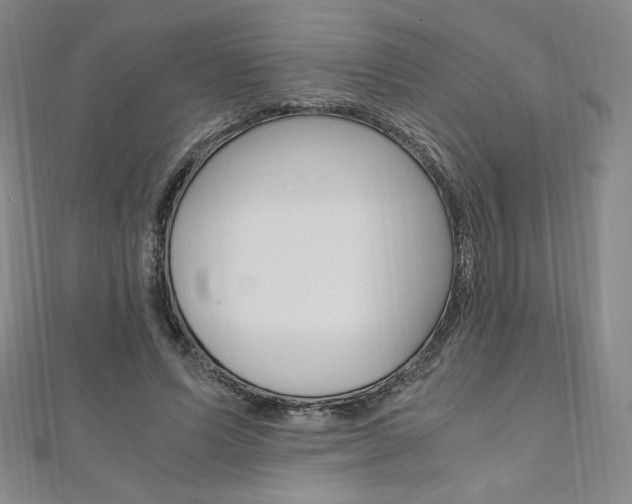 X0000110890591200906181008