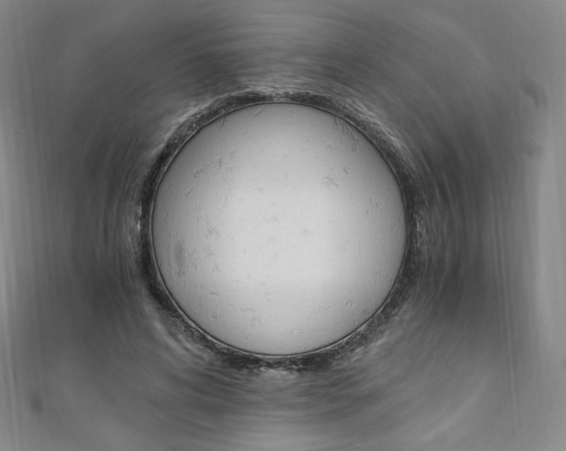 X0000110890592200906181008