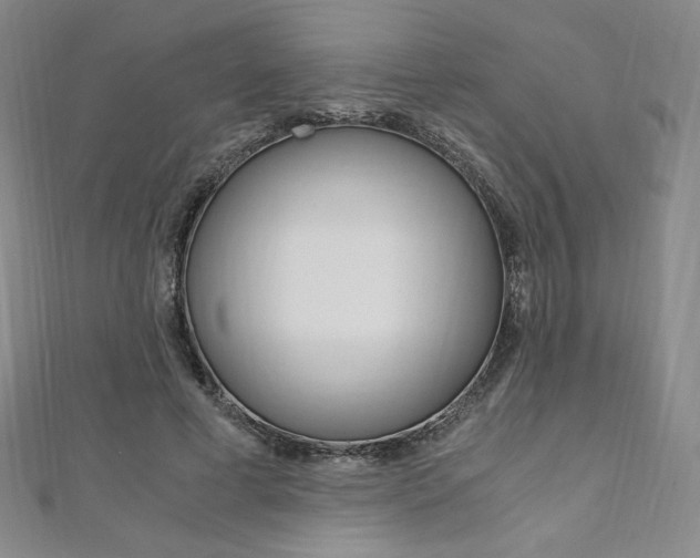X0000110890593200906181008