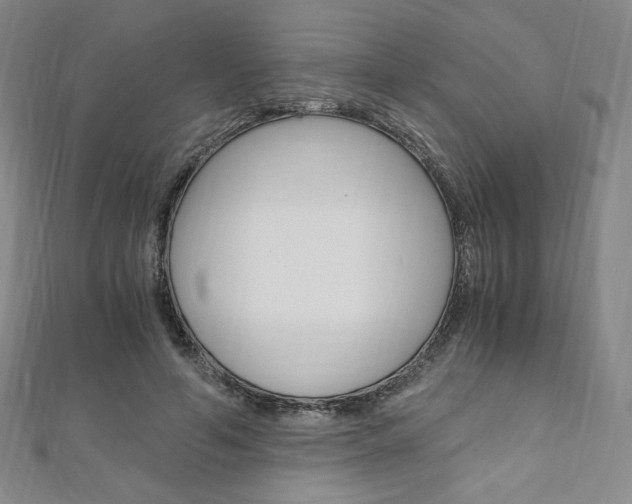 X0000110890594200906181008