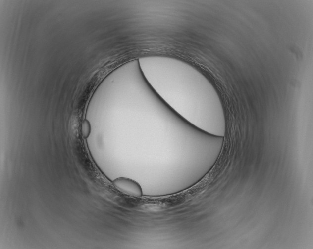 X0000110890595200906181008