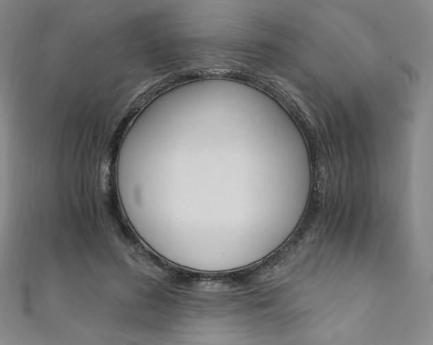 X0000110890596200906181008